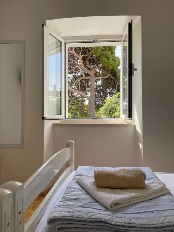 Tree Apartment Dubrovnik Ngoại thất bức ảnh